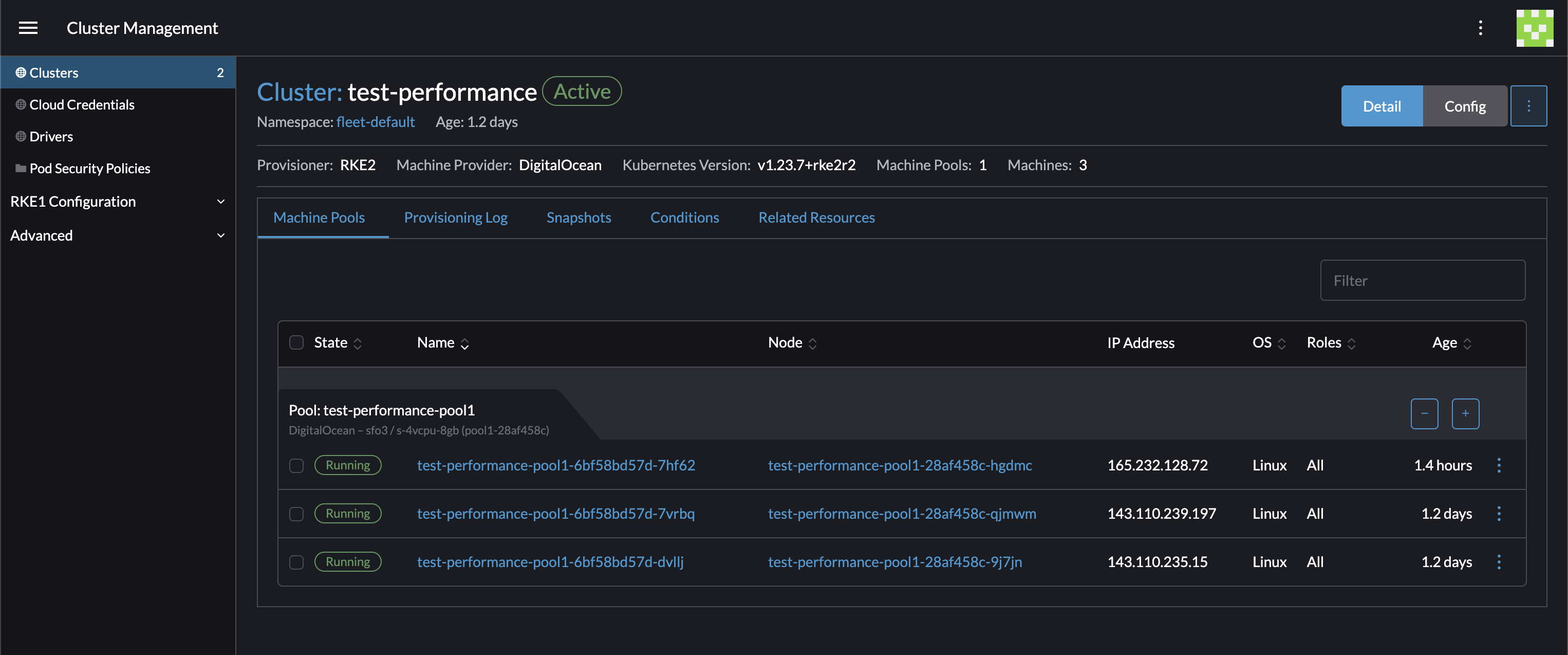 Cluster detail page in cluster management